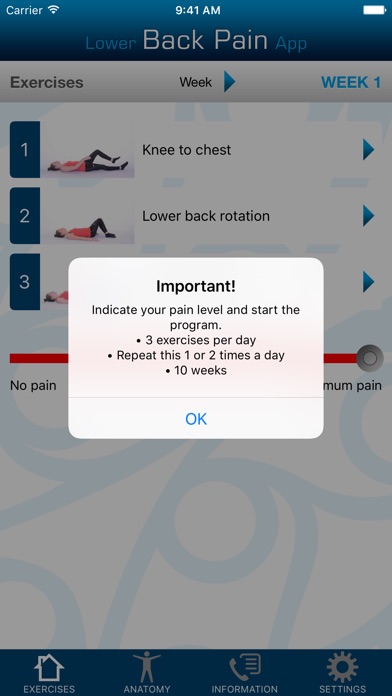 Lower Back Pain App Screenshot 1