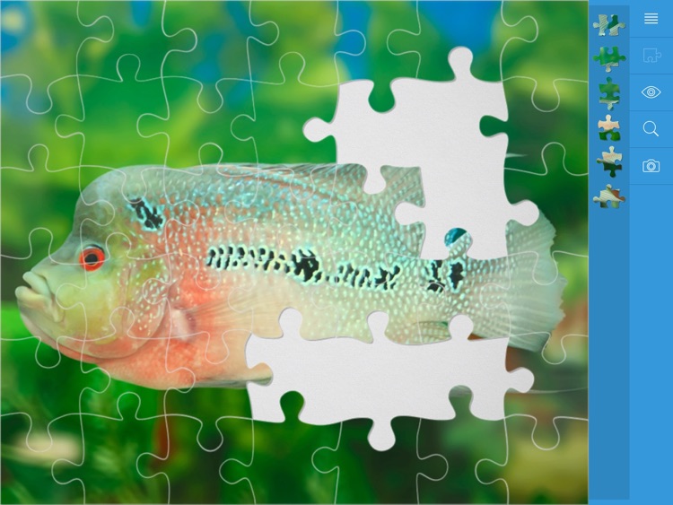 Jigsaw Puzzles Underwater screenshot-4