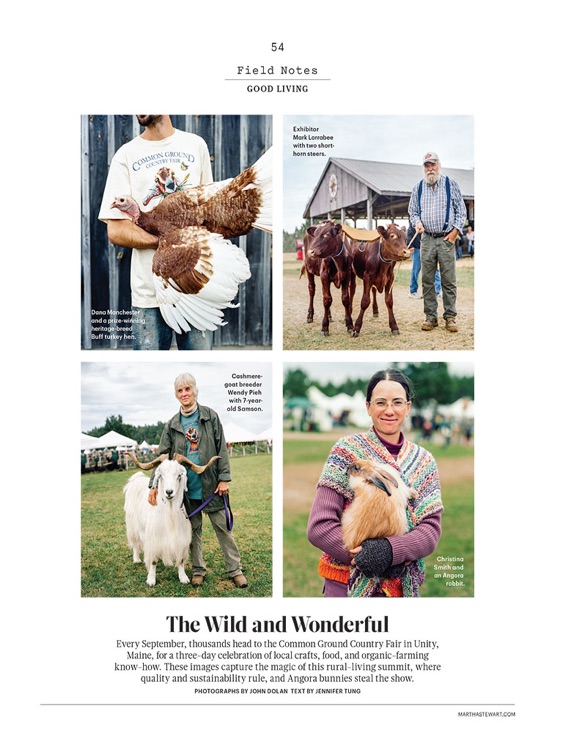 Martha Stewart Living Magazine for iPad