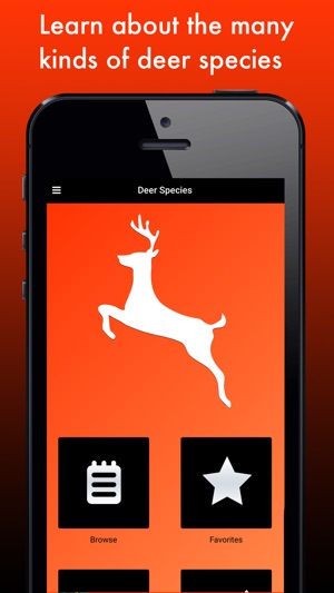 Deer Species: Amazing Creatures of the Forest(圖1)-速報App