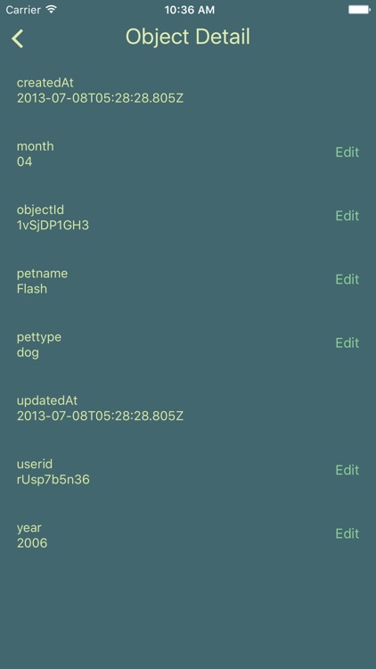 Parser - browse and manage Parse Server data on the go screenshot-3