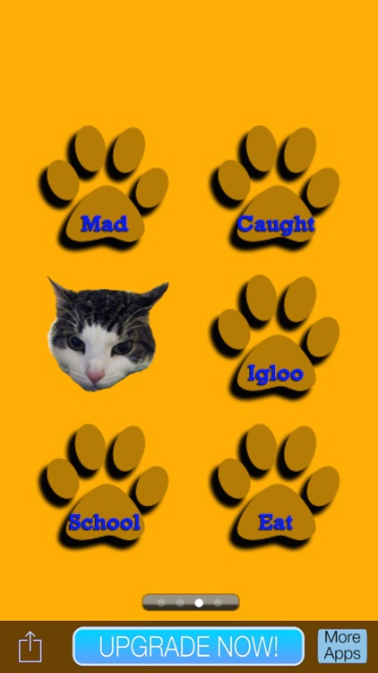 Kids Cat Jokes!