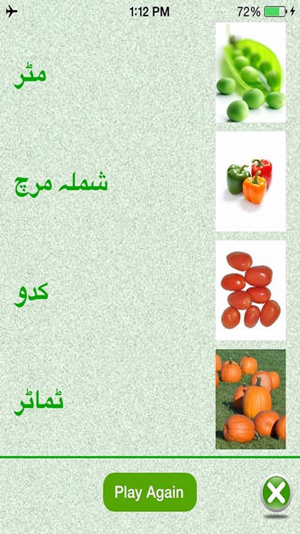 Flashcards Urdu Lesson