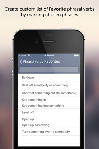 Phrasal Verbs for Business screenshot 3