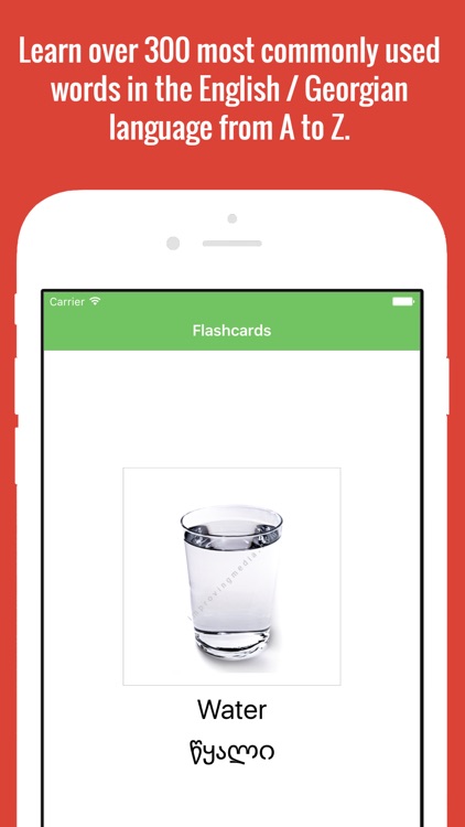 Georgian Flashcards with Pictures screenshot-4