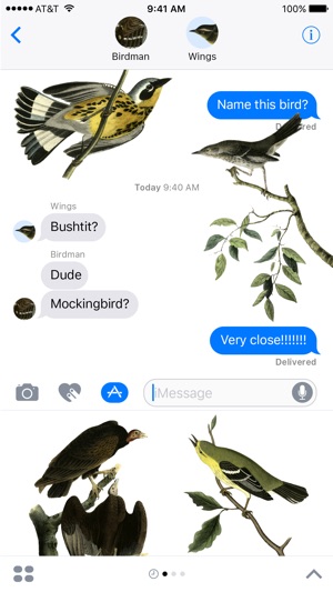 Birds - Premium Stickers - Volume 2