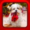 Christmas Puppy Dog Jigsaw Puzzles for Toddlers