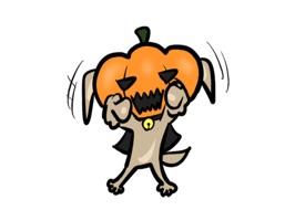 Pumpkin dog Stickers