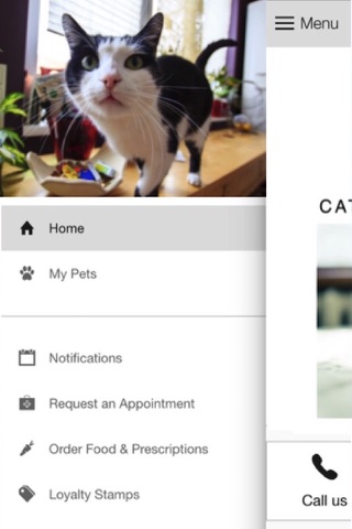 Catisfaction Cat Clinic screenshot 2