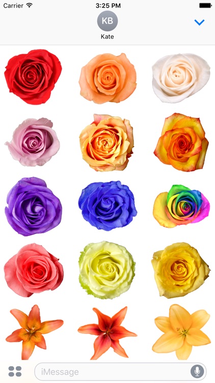 Flower Stickerz