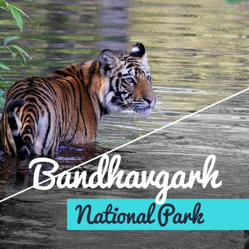 Bandhavgarh National Park icon