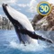Ocean Whale Simulator: Animal Quest 3D Full