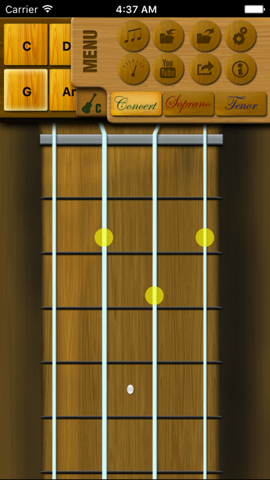 How to cancel & delete Play Ukulele Pro from iphone & ipad 2