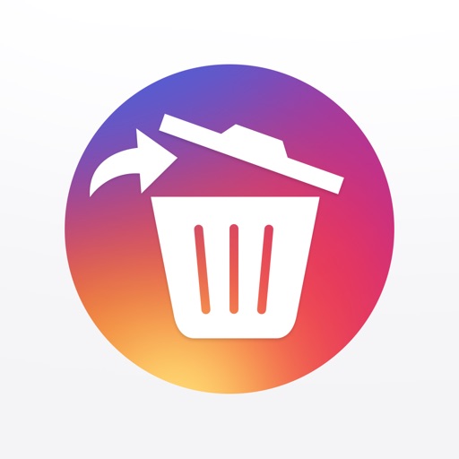 Instagram Cleaner - Mass Delete & Unfollow