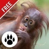 Forest & Jungle Animals Puzzle : Logic Game Free