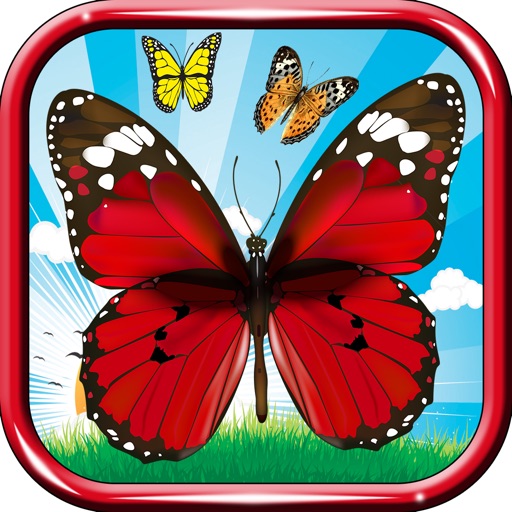 Butterfly flutter puzzle macth Icon