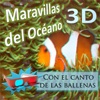 Maravillas del Océano 3D