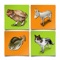 Animal Match Puzzle - Free Brain Games For Kids