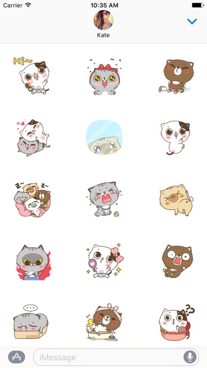 Couple Cat Animated Sticker for iMessage