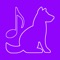 Have fun with your Pet, with this Pet Toy, Dog Toy, Cat Toy and Dog Whistle app