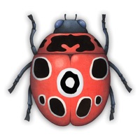 David Wiesners Spot