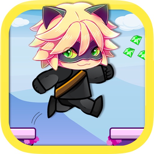 Miraculous black cat adventure icon