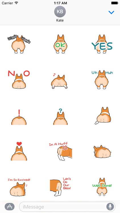 Behind A Corgi Dog Animated Stickers