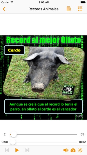 Records Animales