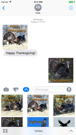 Turkeys(圖1)-速報App