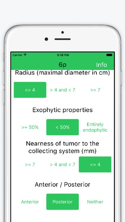 Nephrometry Score