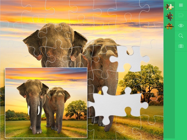 Jigsaw Puzzles Animals