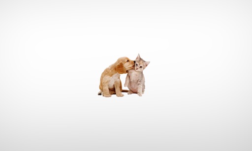 Cats & Dogs Expert icon