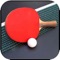 Virtual Table Tennis Master 3D
