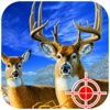 Wild Deer Hunting : Safari Shooting Game