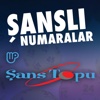 Şanslı Numaralar - Şans Topu