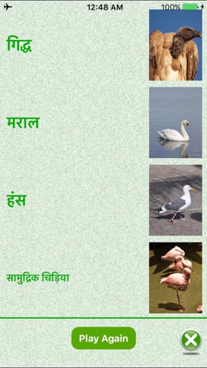 Flashcards Hindi Lesson