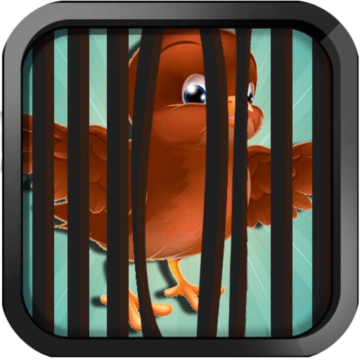 Pet Birds Escape-Escape Fever iOS App