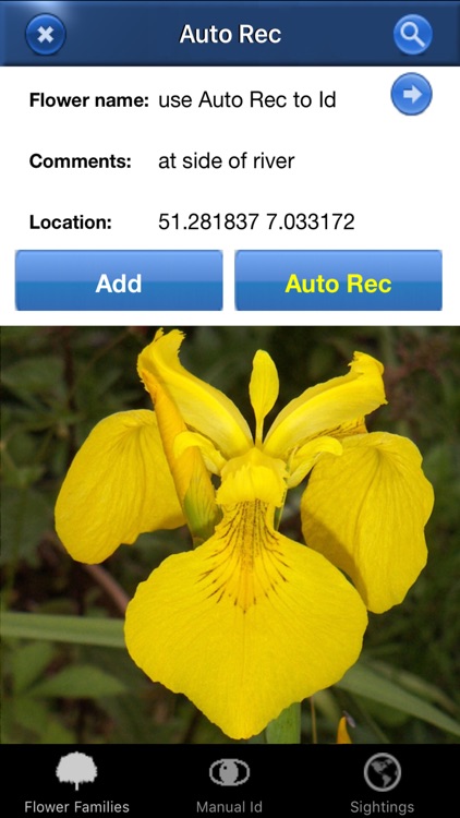 Wild Flower Id Automatic Recognition British Isles
