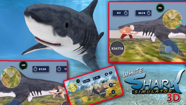 White Shark Simulator 3D(圖3)-速報App