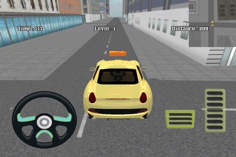 City Car Parking & Driving screenshot 3