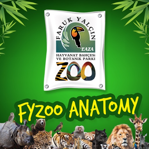 FyZoo Anatomy Icon