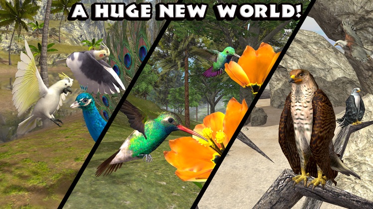 Ultimate Bird Simulator screenshot-4