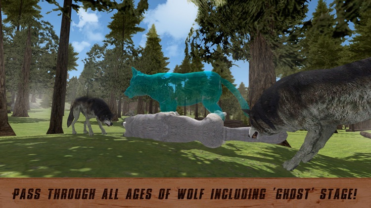 Wild Wolf Quest: Survival Simulator