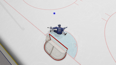 Virtual Goaltender screenshot1