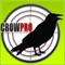 Forest Crow Hunting : 3D Birds Sniper Kill Shot