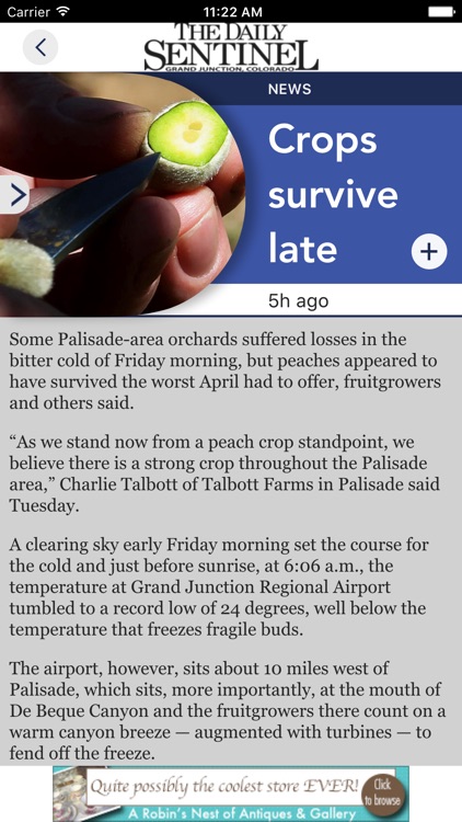 Daily Sentinel