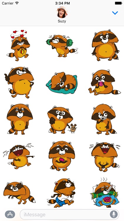 Crazy Raccoon Pet Stickers