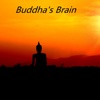 Quick Wisdom from Buddha's Brain- Happiness, Love