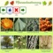 Fast and reliable plant identification with Beste Natur