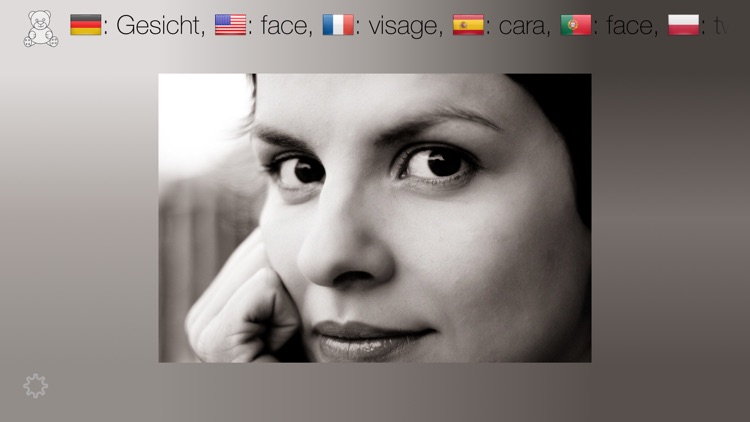 First Words - A Multilingual Picture Book